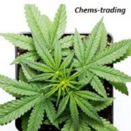 chesmtrading